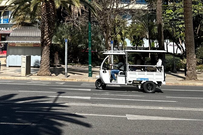 Malaga by Tuk Tuk i : 1 or 2 hours Private city tour - Visiting the Gibralfaro Fortress and Its Ancient Ruins