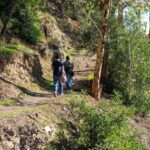 Málaga: City Hike in Málaga with Gibralfaro Mountain - Starting Point at Plaza de la Marina in the Heart of Málaga