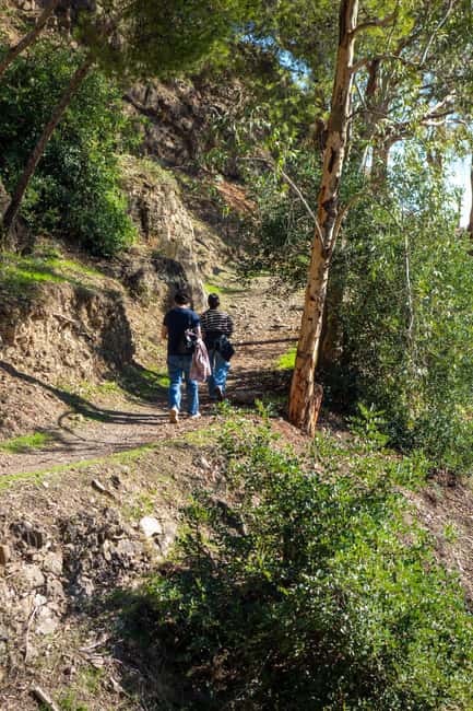Málaga: City Hike in Málaga with Gibralfaro Mountain - Starting Point at Plaza de la Marina in the Heart of Málaga