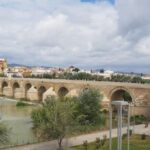 Málaga: Cordoba Day Trip and Optional Mosque-Cathedral Entry - Self-Guided Exploration in Córdobas Historic Center