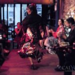 Malaga: El Gallo Ronco Flamenco Show Admission Ticket - What Makes the Flamenco Performance at El Gallo Ronco Stand Out