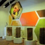 Malaga: Honey Museum Entry Ticket - Practical Details and Visitor Tips for the Honey Museum