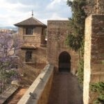 Malaga: long highlights tour with skip-line-tickets - A Deep Dive into Picasso’s Life at the Picasso Museum