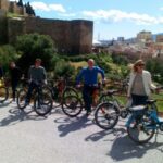Malaga: Private City Highlights Bike Tour with Old Town - Navigating the City Streets and Highlights