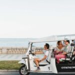 Malaga: Private City Tour by Eco Tuk Tuk - Starting Point and Meeting Logistics in Malaga