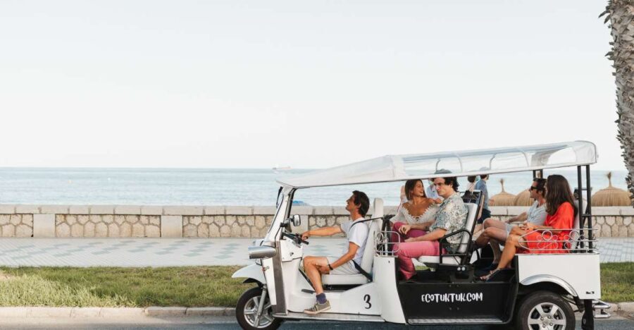 Malaga: Private City Tour by Eco Tuk Tuk - Starting Point and Meeting Logistics in Malaga
