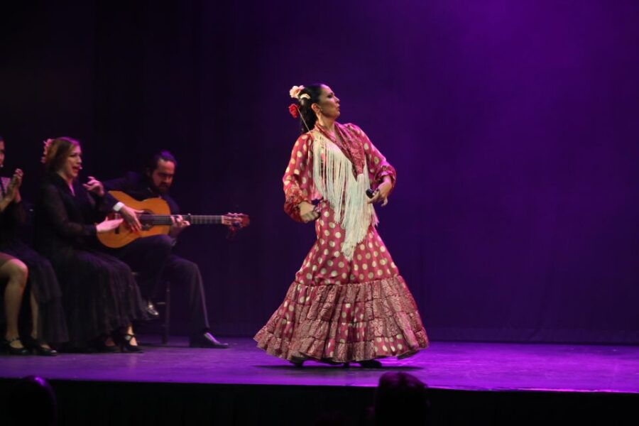 Malaga: Teatro Flamenco Malaga Live Flamenco Show - The Venue’s Location and Atmosphere in Malaga