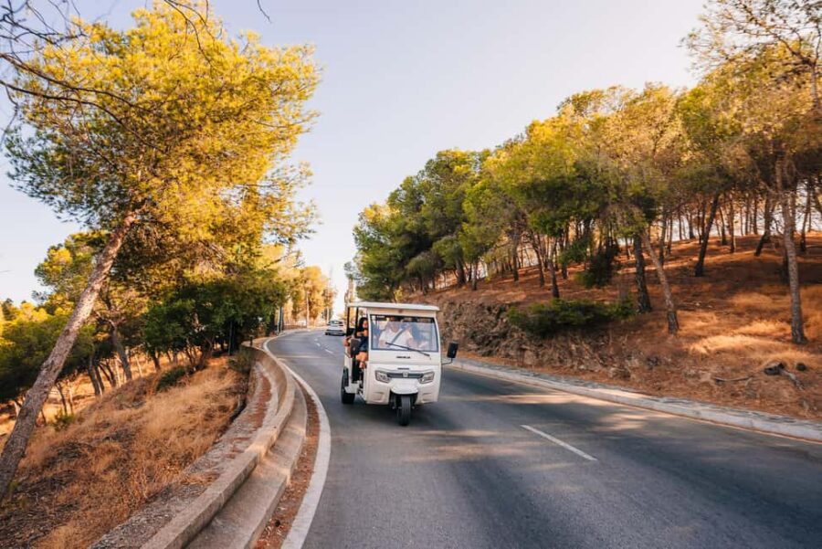 Málaga: Tuktuk Tour with Views and Espeto de Sardinas - Starting Point in Central Malaga
