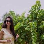 Malaga: Vineyard and Cellar Visit with 6 Top Wines and tapas - Exploring the Vineyard and Farmhouse Setting