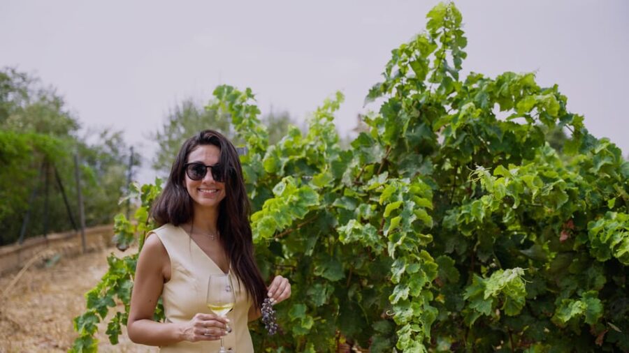 Malaga: Vineyard and Cellar Visit with 6 Top Wines and tapas - Exploring the Vineyard and Farmhouse Setting