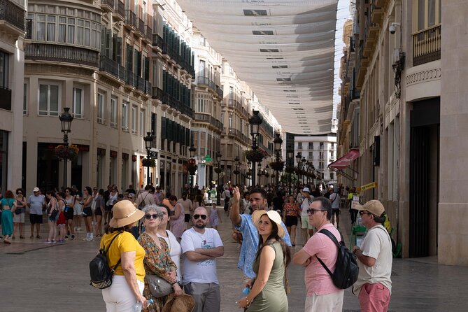 Malaga Walking Tour, Roman Theatre and Alcazaba with Tickets Included - Picassos Malaga: The Museum and the Birthplace