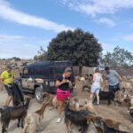 MALIA: Land rover Safari Lasithi Plateau and Zeus Cave - Explore the Wild Paths of Crete’s Mountainous Landscape