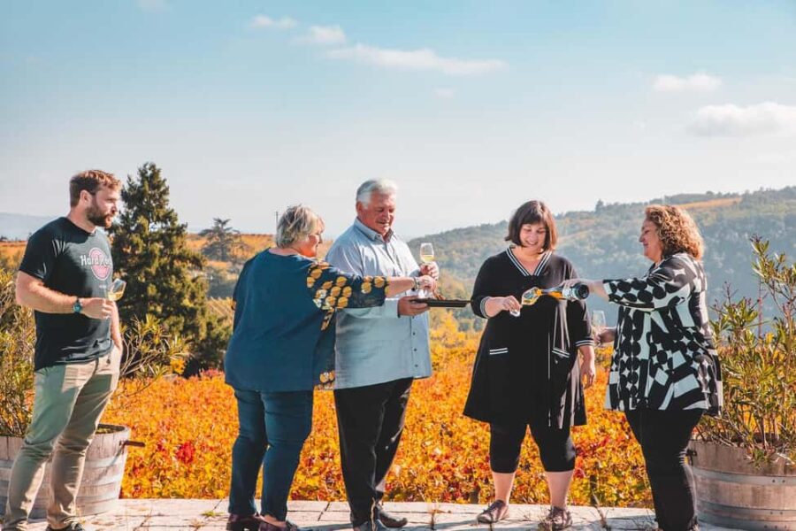 Malleval: Visit and Tasting with the P. Gaillard Family - Inside the Cellar: Tradition Meets Modern Techniques