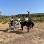 Mallorca: Activity with Horses, Antique Mallorca - The Starting Point at Mallorca Horses