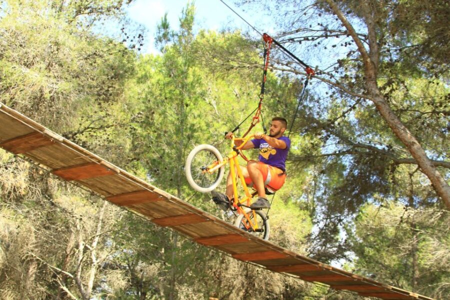 Mallorca: Adrenaline Tree Top Adventure Entry Ticket - The Four Adventure Courses: What You Can Expect