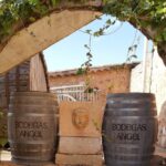 Mallorca Bodega & Olive Minibus Tour incl. Pick-up South Coast - Visiting a Typical Mallorca Bodega for Wine Tasting