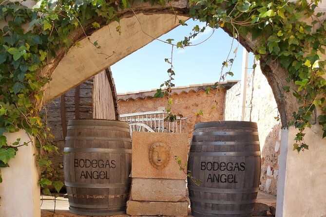 Mallorca Bodega & Olive Minibus Tour incl. Pick-up South Coast - Visiting a Typical Mallorca Bodega for Wine Tasting