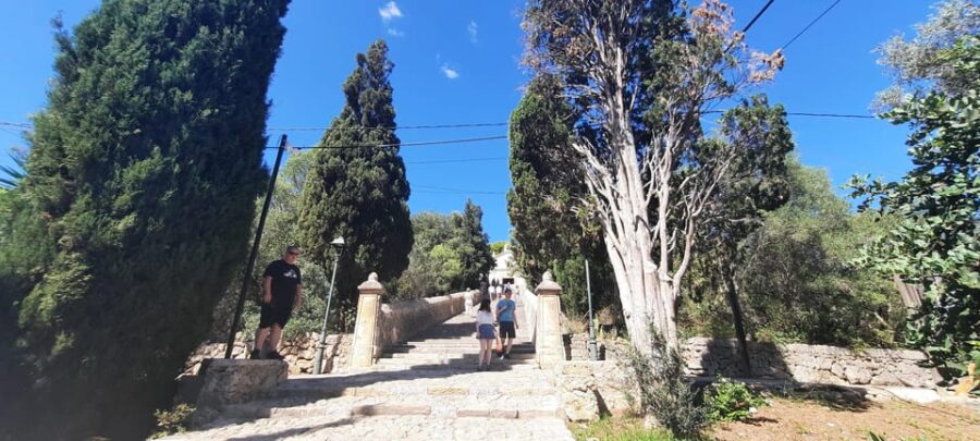 Mallorca: Cap & Cava - Minibus Tour to Formentor - GERMAN - Discover the Scenic Drive to Cape Formentor & Lighthouse