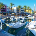 Mallorca: Coastal Cruise to Port of Andratx with swim stop - Starting Point at Santa Ponsa Jetty
