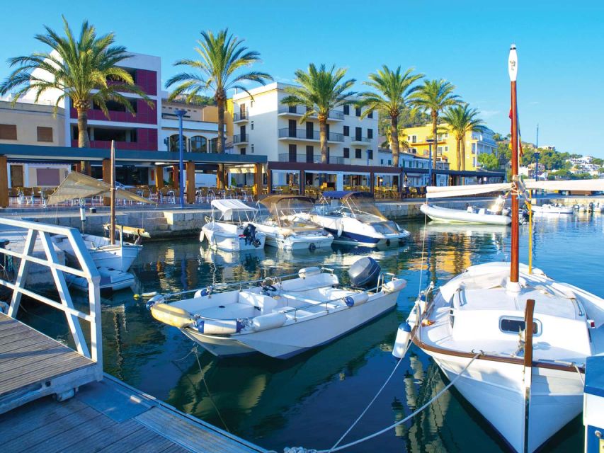 Mallorca: Coastal Cruise to Port of Andratx with swim stop - Starting Point at Santa Ponsa Jetty
