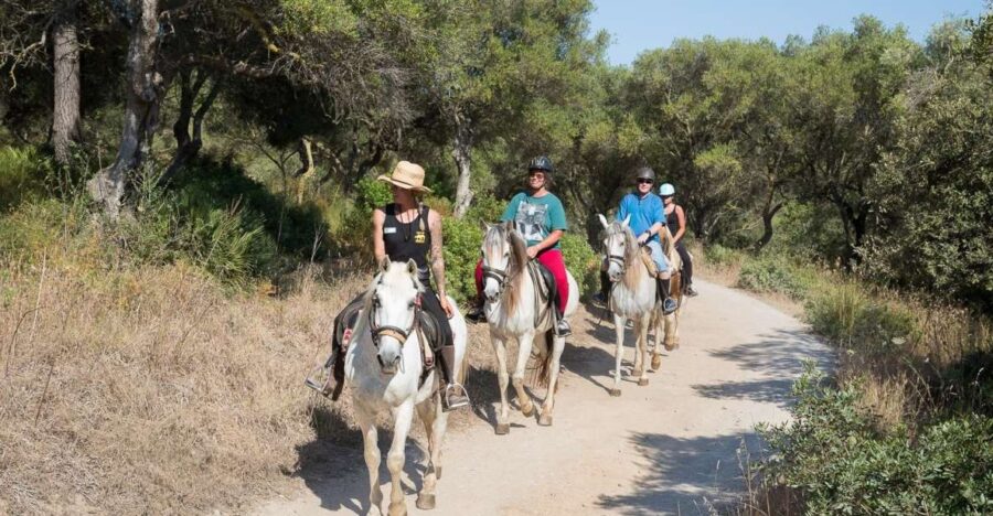 Mallorca: Horseback Riding Excursion and Wine Tasting - Meet the Horses and Learn Their Stories