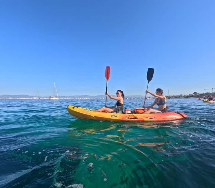 Mallorca: Kayak Rental - Starting Point at Can Pastilla for Easy Access