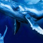 Mallorca: Palma Aquarium Entry Ticket w/ Optional 3D Cinema - Palma Aquarium’s Location and Accessibility