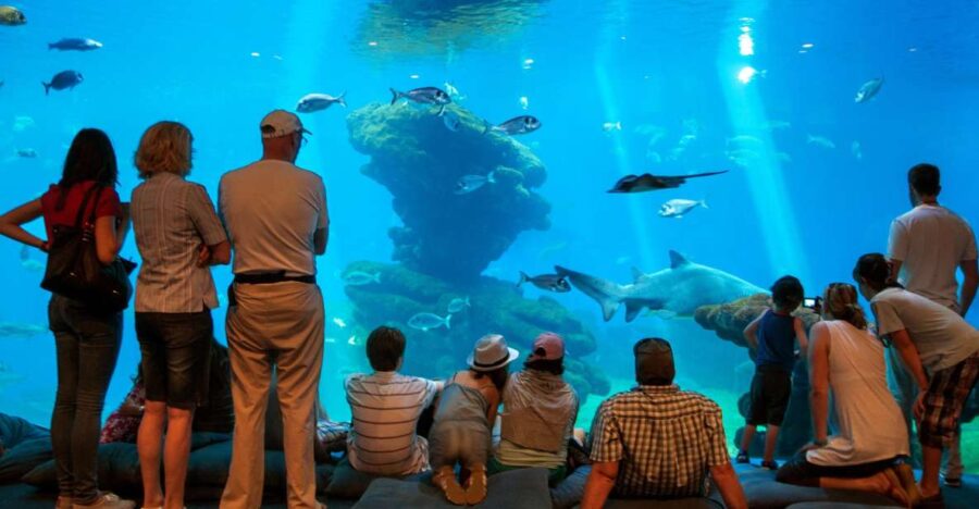 Mallorca: Palma Aquarium with Transfers, Guide & Fast Entry - Convenient Transport and Pickup from Alcúdia