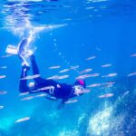 Mallorca: Snorkeling tour with diving instructor from a boat - Cap de Formentor - Starting Point and Check-in at the Dive Center