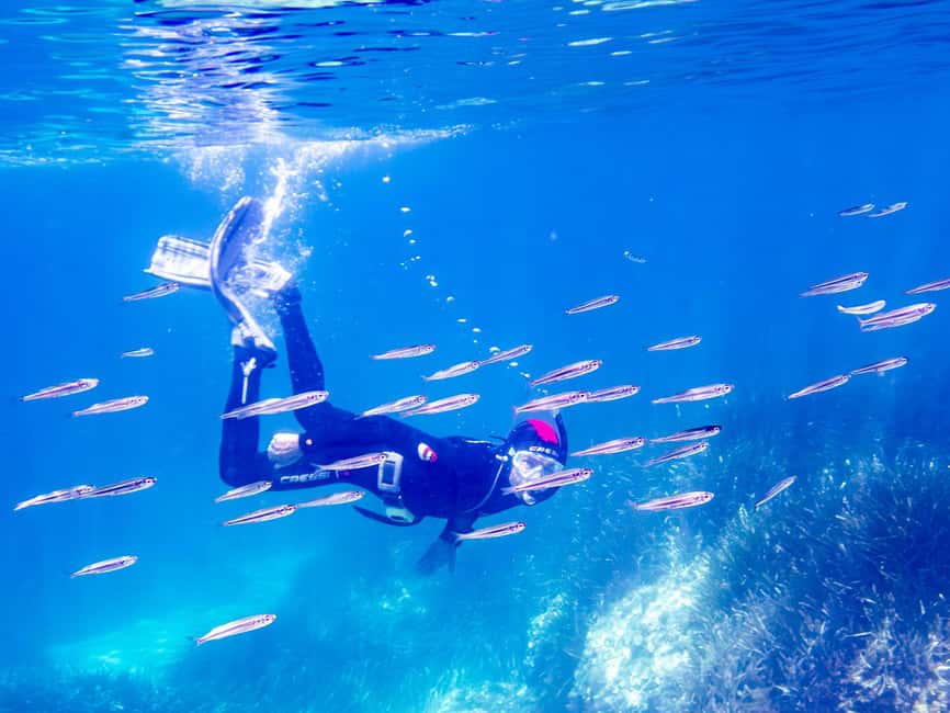 Mallorca: Snorkeling tour with diving instructor from a boat - Cap de Formentor - Starting Point and Check-in at the Dive Center
