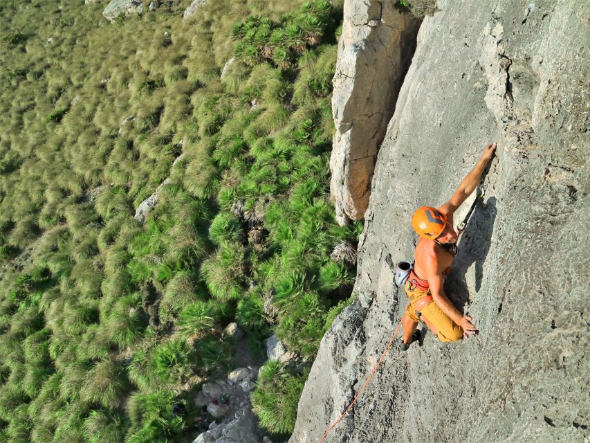 Mallorca: Sport Climbing Day or Course - Mallorca’s Limestone Climbing Routes for All Levels