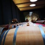 Mallorcas Emblematic Wineries Small Group Tour, two wineries - Visiting Two Top Wineries in Mallorca’s Heartland