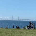 Malmö: 3-Hour Guided Walking Tour - Starting at Malmö Central Station and Meeting Your Guide