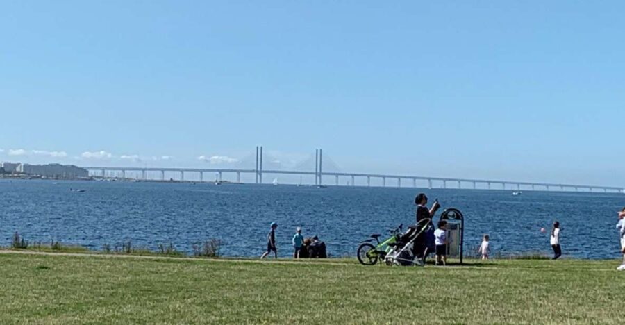 Malmö: 3-Hour Guided Walking Tour - Starting at Malmö Central Station and Meeting Your Guide