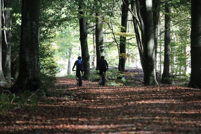 Malmo Bike Rental - Exploring Malmö’s Historic and Modern Sides