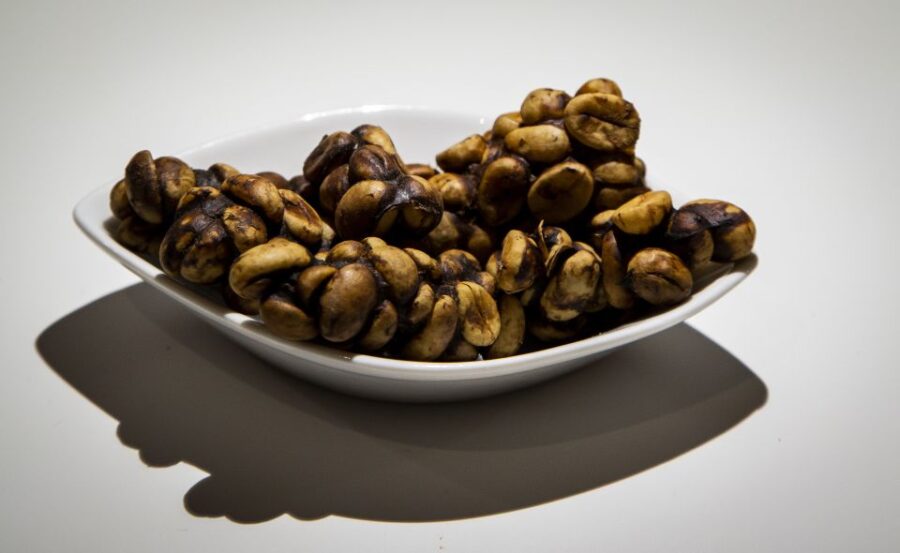 Malmö: Disgusting Food Museum Entrance Ticket - The Quirky Entrance with a Vomit Bag Ticket