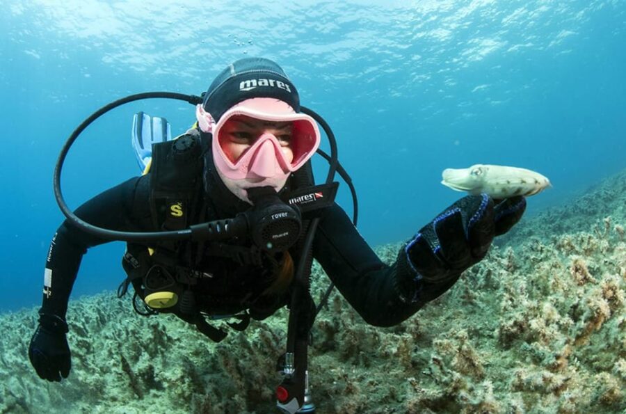 Malta: 1-Day PADI Scuba Diver Certification Beginner Course - The Course Starts with Online Theory Lessons