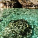 MALTA Comino BlueLagoon 3 hours Private Boat trips - Exploring Comino’s Top Destinations in Privacy
