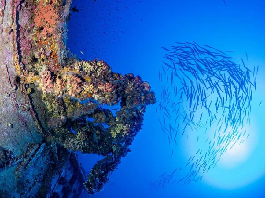 Malta: Discover Scuba Diving 2 Dives With Shipwreck Dive - Starting with a Safety and Equipment Briefing in Malta