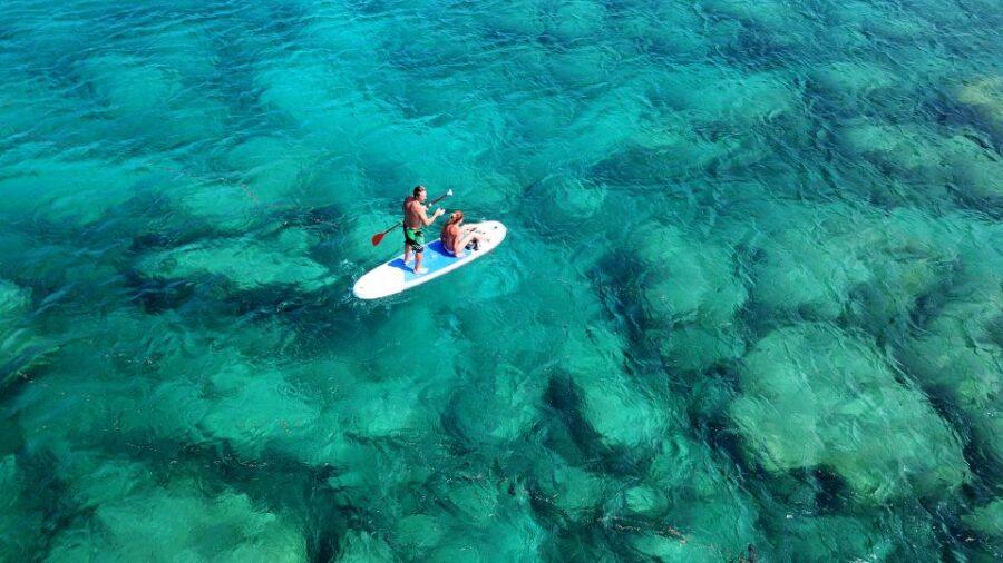 Malta: SUP Rental - The Starting Point at Sensi Watersports in St Thomas Bay