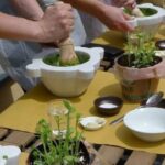 Manarola: Authentic Pesto Making Class at Cinque Terre - Tasting the Fruits of Your Labor