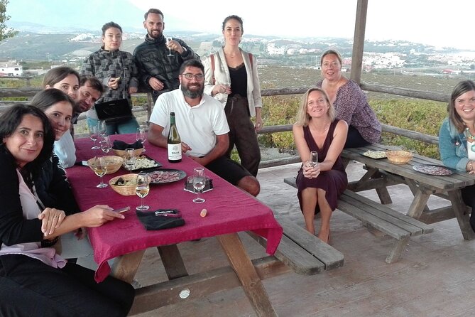 Manilva Oceanfront Wine Experience in the Marbella Area - CIVIMA: The Center for Manilva’s Viticultural Legacy
