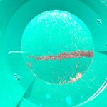 Mannheim: Gold panning with a local guide and accessories - Key Points