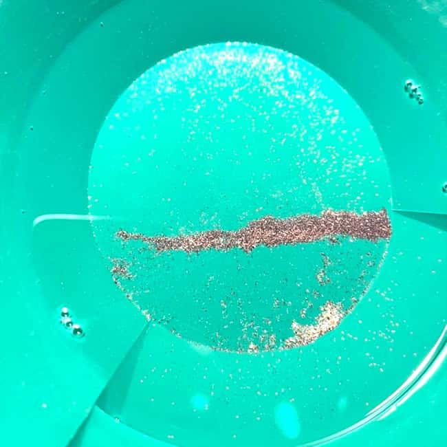 Mannheim: Gold panning with a local guide and accessories - Key Points