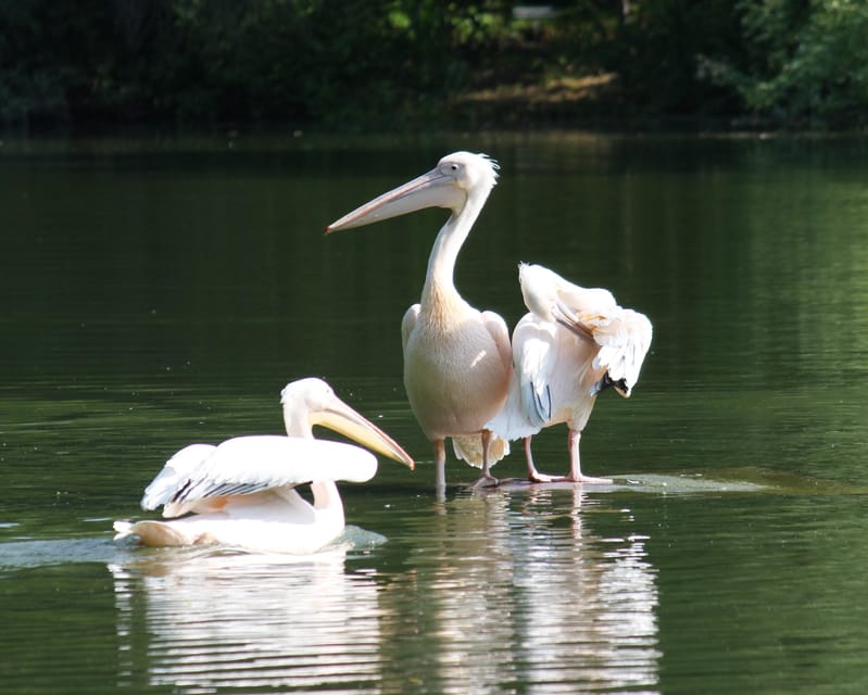 Mannheim, guided park tour: Luisenpark - Final Thoughts on the Mannheim Luisenpark Guided Tour