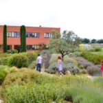 Manosque: L'Occitane en Provence Guided Factory Tour - Exploring the Factory and Production Areas