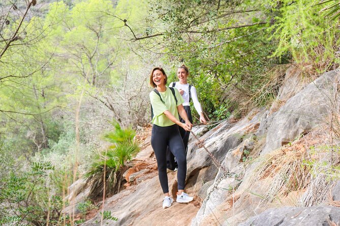 Marbella Guided Hiking and Foraging Adventure - What to Expect During the 3-Hour Hike