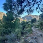 Marbella: "La Concha" mountain tour including snack and drink - The Rocky Ascent and Coastal Views