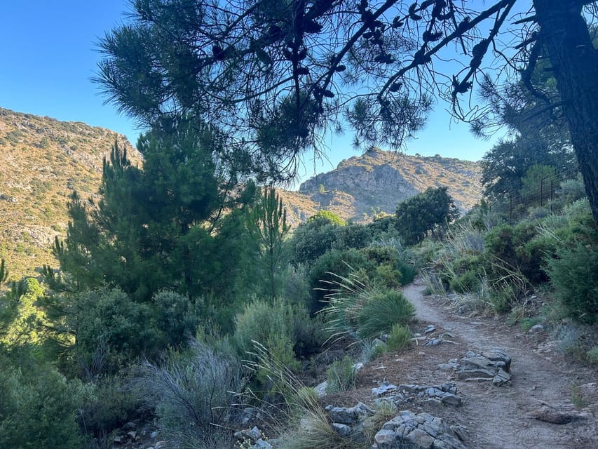 Marbella: "La Concha" mountain tour including snack and drink - The Rocky Ascent and Coastal Views