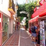 Marbella: Private Walking Tour - Meeting Point at Alameda Park: The Rocio Fountain